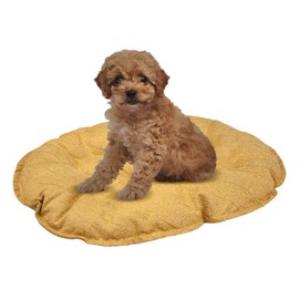 Fancy Pets Cojín CH para Cama de Plástico – 50 X 34 cm, Tela Suave y Resistente, Descanso Cómodo para Perros Varios Colores
