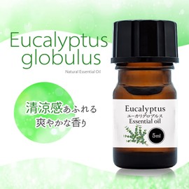 100% Natural Eucalyptus Globbles Oil 5ml Aroma Oil Eucalyptus