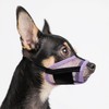 JOYPAWS Dog Muzzle, Air Mesh & Reflective Straps for Extra