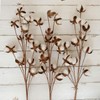 idyllic Cotton Stems Decor Branches, Cotton Flowers Plants for Decorations,