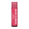 Tinted Lip Balm - Rose