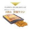 大日ヘルシーフーズ 肝源ウコン 45粒入×6袋 春ウコン 秋ウコン 紫ウコン 黒ウコン 配合 錠剤タイプ サプリ