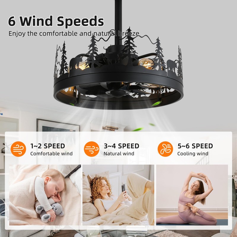 Rustic Ceiling Fans with Lights and Remote, Black Caged Ceiling