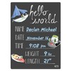 Cohas Hello World Newborn Baby Announcement Chalkboard Sign with Boat
