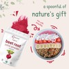 Micro Ingredients Organic Beet Root Powder, 1 Pound, Cold Pressed