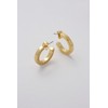 Ted Baker Senatta Crystal Hoop Earrings (Gold Tone/Crystal)