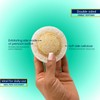 Frotash Esponja Facial Exfoliante Doble Textura Celufita 6 Piezas