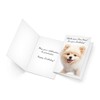 Prime Greetings Funny Dog Birthday Card Pun With Pomeranian, Made