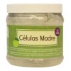 Productos Mart Mexico Gel Hidratante De Células Madre 1 Kilo