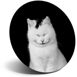 Destination Vinyl ltd Magnet for Refrigerator, Fridge - Cute Smiling White Cat Kitten Animals for Office, Cabinet and Whiteboard, Magnetic Stickers, 8276