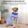 Queenmore Dog Surgical Recovery Suit Onesie, Recovery Suit for Dogs