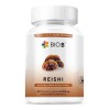 Bio B 60 Cápsulas Hongo Reishi