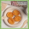 Ibambo Bamboo Disposable Paper Plates - Compostable Plate, PFAS Free