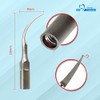 Punta dental mixta P1 10 ajuste de escala EMS, pájaro