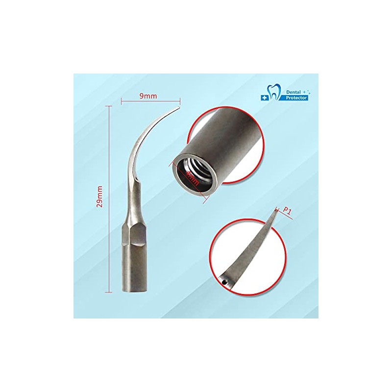Punta dental mixta P1 10 ajuste de escala EMS, pájaro