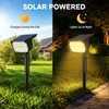 LED Solar Landscape Spotlight for Outdoor Lighting – IP65 Waterproof