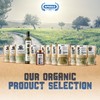 APSOGO Organic Spearmint - Premium Greek Herbal Tea & Culinary