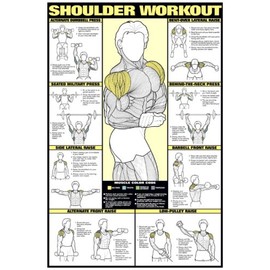 ALGRA Shoulder Workout 24" X 36" Laminated