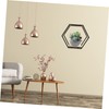 Parliky Sleek Hexagon Wire Shelving Iron Wall Shelf for Plant
