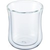 iwaki(イワキ) 耐熱ガラス ダブルウォールグラス Airグラス 230ml K405 クリア