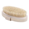 OioTuyi Body Massage Brush - Dry Brush with Natural Bristles