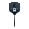 Bird-X Solar Yard Gard, Ultrasonic and Solar-Powered Animal Decoy Device