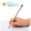 Tombow CB-KHNLP0312C Colored Pencils, 12 Colors (Non-Roll-Resistant Hexagon), Hello Nature,