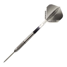 TRiNiDAD PRO Saldivar Steel tdd1022 Eikichi Nakanishi Player Model Trinidad Pro Sardval Steel Darts Barrel Silver