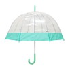 Clear Bubble Umbrellas Green Trim, Transparent Umbrella, Dome Shape Umbrella
