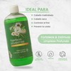 Shampoo Con Extracto De Hierbas Silvestres Productos Mart Mexico 500