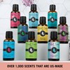30ML - Trio (3) - Eucalyptus, Lavender Chamomile & Frankincense
