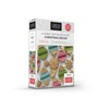 Lorena's Sweets Cookie Decoration Kit CHRISTMAS DECOR