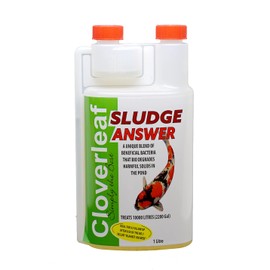 Cloverleaf Sludge Answer for Pond & Aquarium (1 Litter)