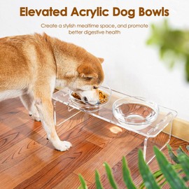 Dog and Cat Bowls Elevated Set - Acrylic Feeder Stand with 2 Set Removable Stainless Steel and Glass Bowls Food and Water Raised Dishes for Medium Dogs,5.5 inches