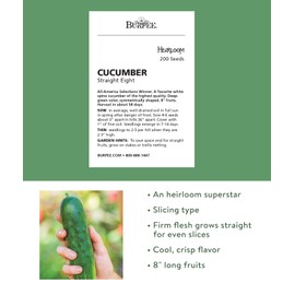 Burpee 'Straight Eight' Slicing Cucumber Seeds, 200 Non-GMO seeds, Heirloom