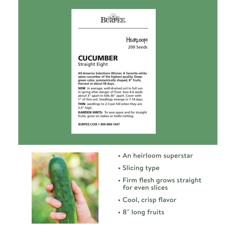 Burpee 'Straight Eight' Slicing Cucumber Seeds, 200 Non-GMO seeds, Heirloom