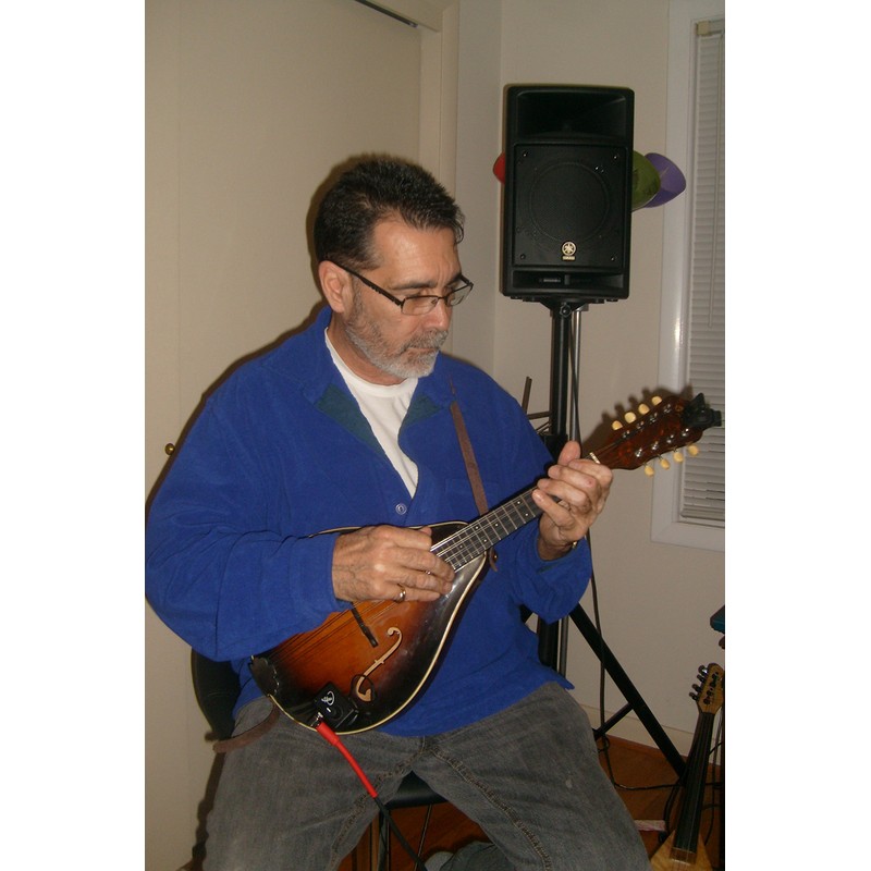 Mandolin Pickup with Flexible Micro-Gooseneck by Myers Pickups