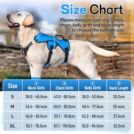 rabbitgoo Escape-Proof Dog Harness Medium with Large Handle, Adjustable No Pull Harness for Dog, Breathable Pets Vest for Working Service Dog, Reflective Lift Support Body Harness Outdoor, M, Blue
