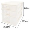 Sanko Plastic “Elpis” Accessory Storage
