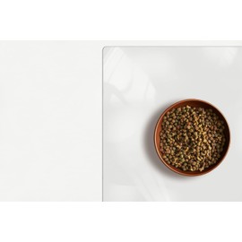 ExactMade - Clear Pet Bowl Mat, USA Made, Safe, Waterproof, 11 x 16.5 Inch, 2mm Thick Smooth Vinyl, Clear Dog Bowl Mat, Clear Pet Floor Liner, Clear Food Bowl Mat, Best Clear Pet Floor Mat