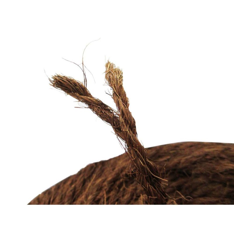 Natural Shuro Rope, 2-Piece Tea, 0.1 inch (3 mm) x