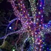 HOME LIGHTING 200 LED 66FT Fairy String Lights, July 4th