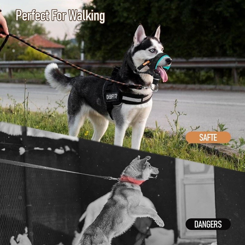 wintchuk Dog Head Collar with Soft Fabric, Head Harness Stops