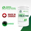 PVL PVL 100% Pure Creatine - Creatine Monohydrate Micronized Powder