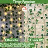 [ Timer ] Fake Ivy Vines 12 Pack 84Ft with