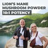 **New Bonus Size** 160 Capsules of Premium Lion's Mane Mushroom