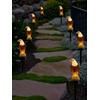 CHUANGFENG Eagle Figurine Garden Solar Stake Light Eagle Solar Lights