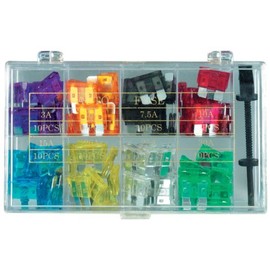 100-Piece Car Fuse Set with 1 Fuse Puller Assortment 1025-2 Car Fuses 101 Pieces