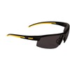 DEWALT DPG99 Polarized Lens Safety Glasses