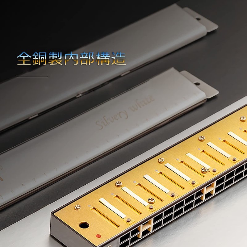 QIMEI Blues Harmonica 10/24 Hole Stainless Steel C Tone Airtight